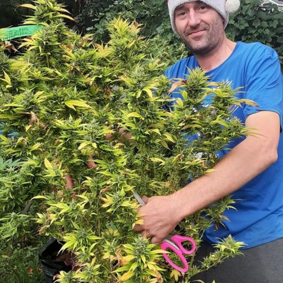 Meet your Posher, Jason - Picture 1 of 1